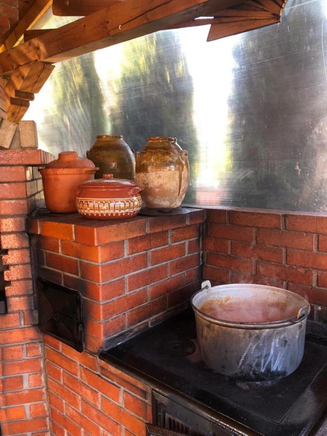 Vila Bijou Borşa Eksteriør billede